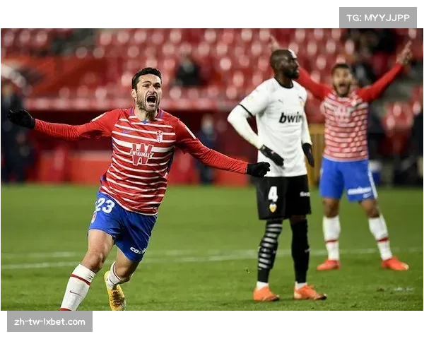 本轮西甲赛后裁判协会与职业联盟针对误判的沟通机制